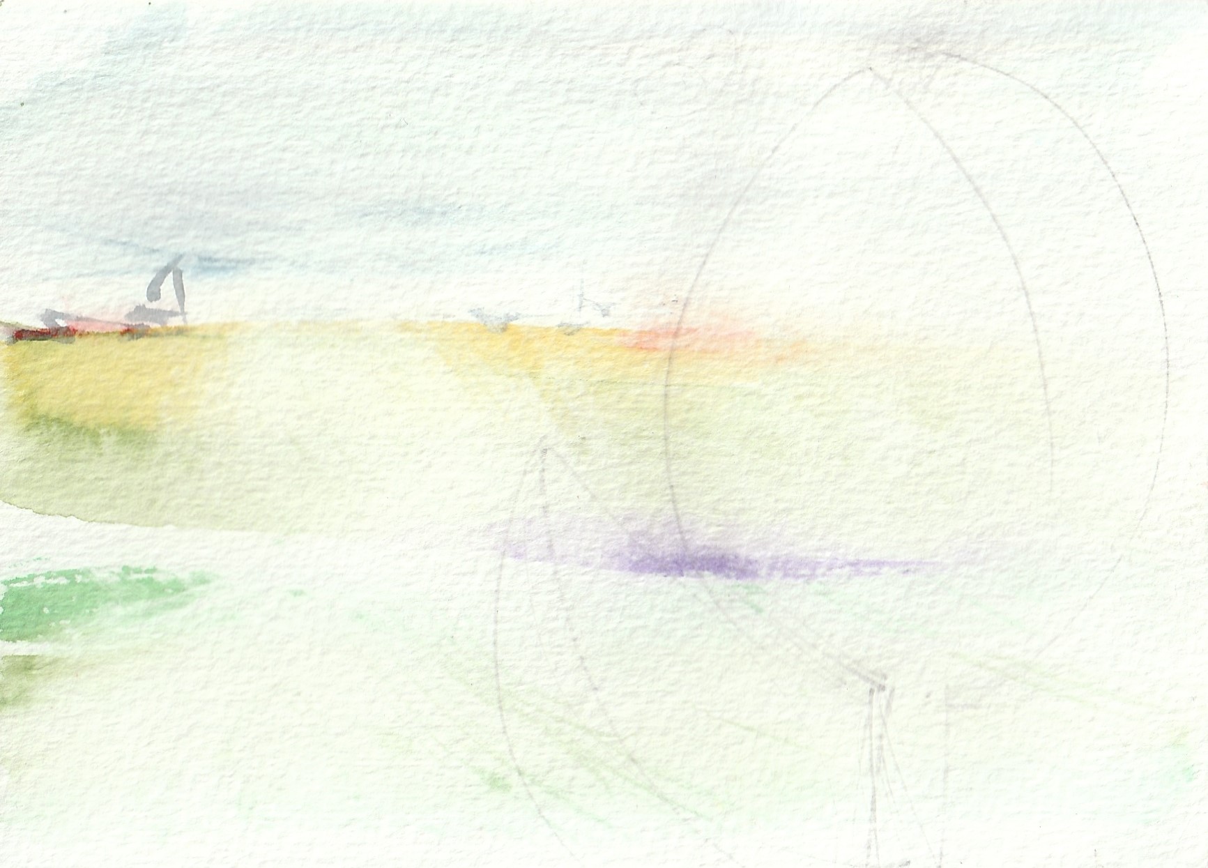 Bulb Fields I